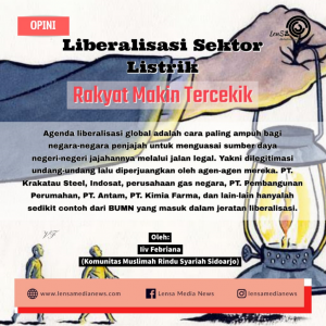 liberalisasi sektor listrik