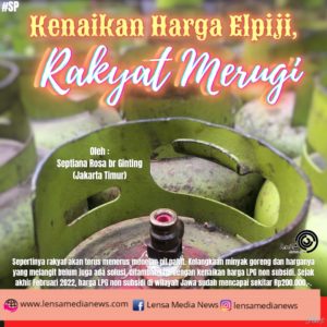 WhatsApp Image 2022-03-19 at 16.44.24