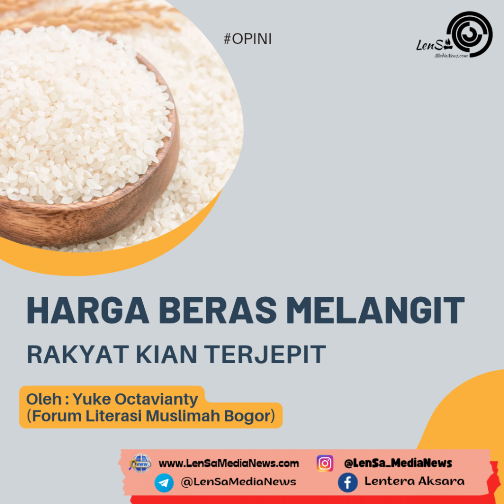 20240219_113542_0000