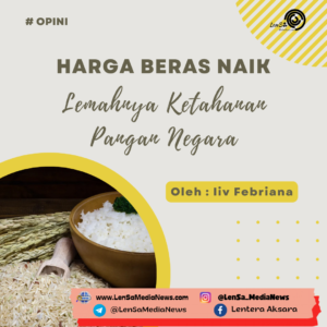 20240219_115008_0000