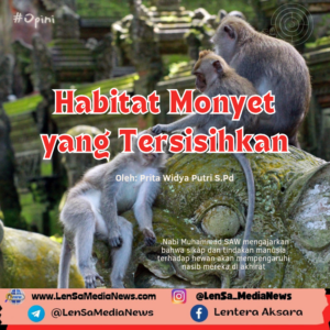 Salinan dari Salinan dari Desain Tanpa Judul_20240415_072010_0000