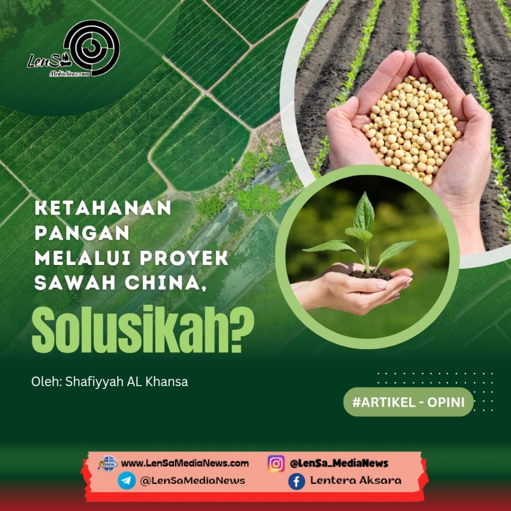 Green and White Modern Agriculture Consultant Services Instagram Post_20240507_230715_0000
