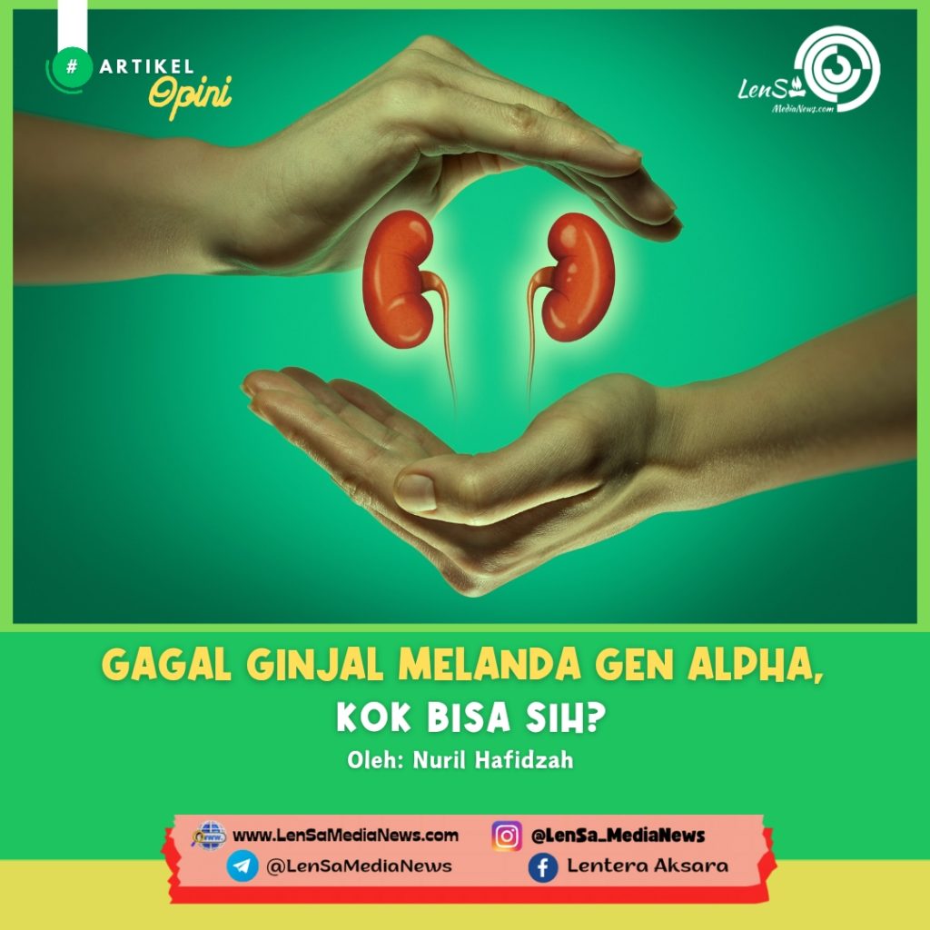 Gagal ginjal_20240808_182519_0000