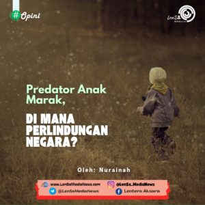 Predator_20241125_184630_0000