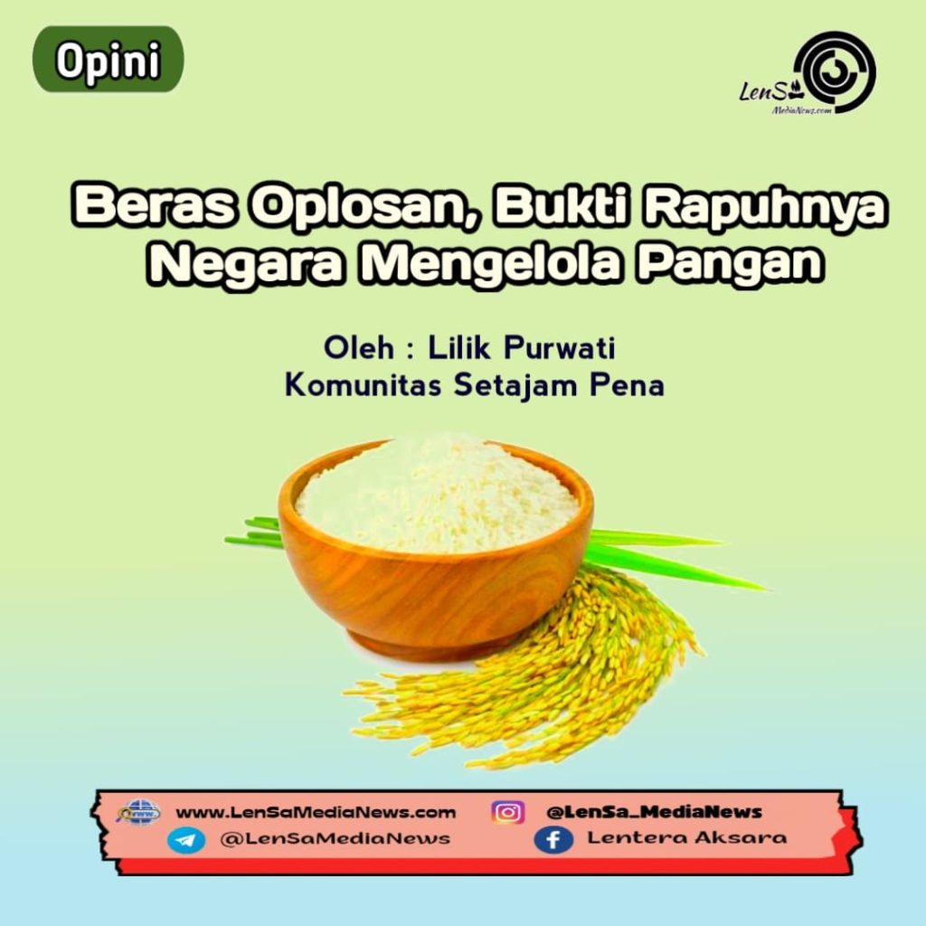 Beras oplos, LenSaMedia