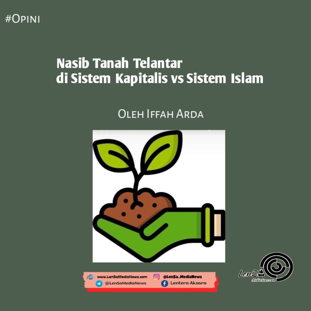 Tanah telantar
