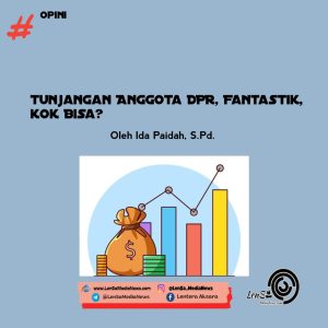Tunjangan DPR