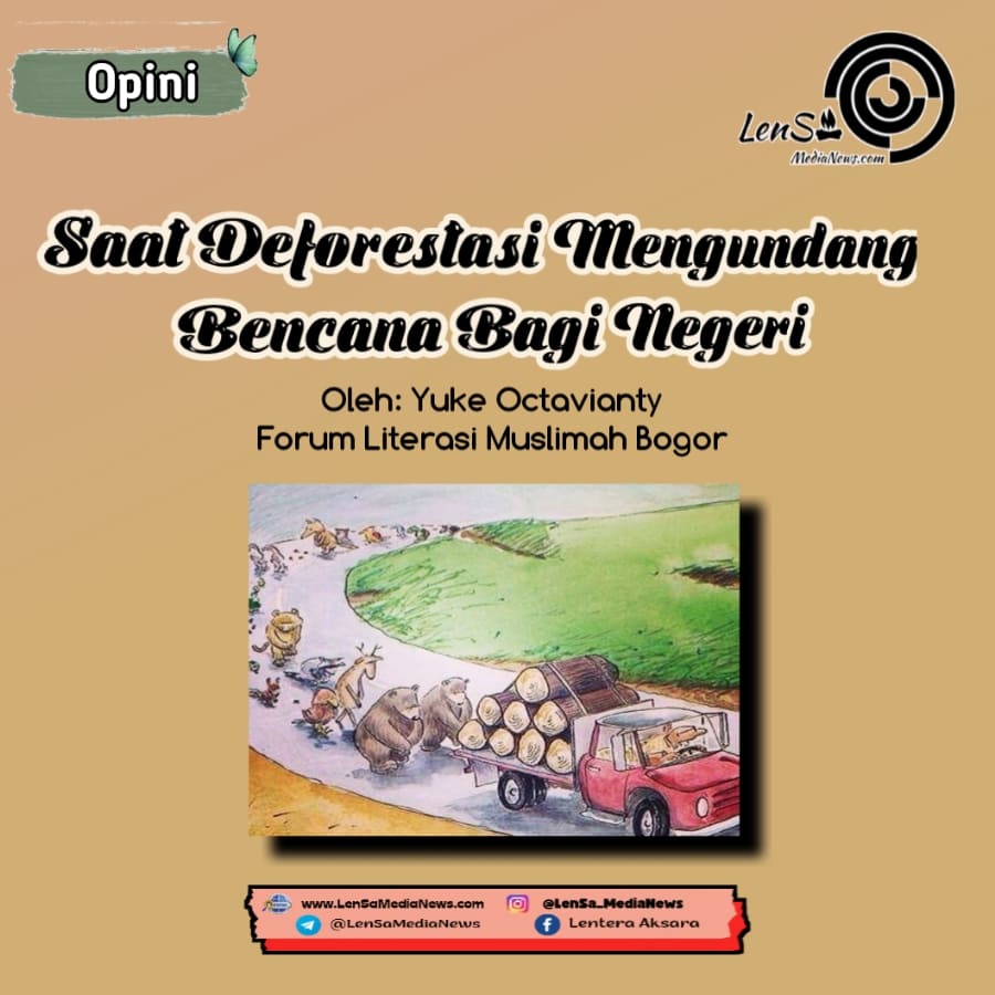 Deforestasi-LenSaMediaNews
