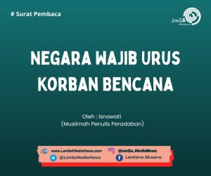 #_20260226_041532_0000