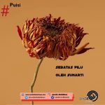 Sebatas Pilu