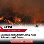 Bencana Karhutla Berulang, Asap Selimuti Langit Borneo
