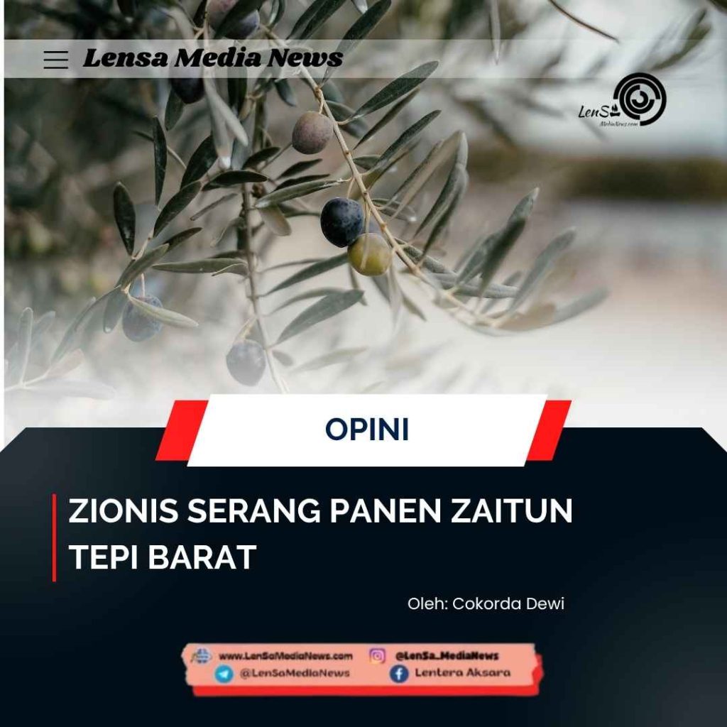Zionis Serang Panen Zaitun Tepi Barat