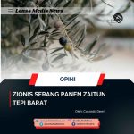 Zionis Serang Panen Zaitun Tepi Barat